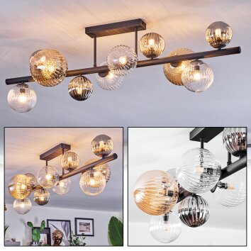 Chehalis Plafondlamp, Kogellampje Amber, Duidelijk, Rookkleurig, 10-lichts