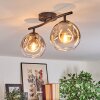 Ripoll Plafondlamp, Kogellampje Duidelijk, Rookkleurig, 2-lichts