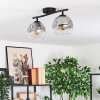 Ripoll Plafondlamp, Kogellampje Duidelijk, Rookkleurig, 2-lichts