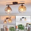 Ripoll Plafondlamp, Kogellampje Amber, Duidelijk, Rookkleurig, 2-lichts