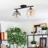 Ripoll Plafondlamp, Kogellampje Amber, Duidelijk, Rookkleurig, 2-lichts