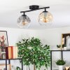 Ripoll Plafondlamp, Kogellampje Amber, Duidelijk, Rookkleurig, 2-lichts