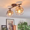 Ripoll Plafondlamp, Kogellampje Amber, Duidelijk, Rookkleurig, 2-lichts