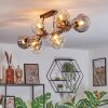 Ripoll Plafondlamp, Kogellampje Amber, Duidelijk, Rookkleurig, 10-lichts