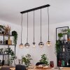 Gastor Hanglamp, Kogellampje, Hanglamp Amber, Duidelijk, Rookkleurig, 5-lichts