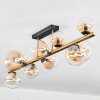 Chehalis Plafondlamp, Kogellampje Goud, Zwart, 10-lichts