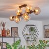 Koyoto Plafondlamp, Kogellampje Amber, Duidelijk, Rookkleurig, 10-lichts