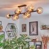 Koyoto Plafondlamp, Kogellampje Amber, Duidelijk, Rookkleurig, 10-lichts