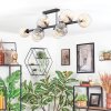 Koyoto Plafondlamp, Kogellampje Amber, Duidelijk, Rookkleurig, 10-lichts