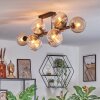 Koyoto Plafondlamp, Kogellampje Amber, Duidelijk, Rookkleurig, 10-lichts