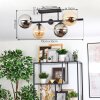 Gastor Plafondlamp, Kogellampje Amber, Duidelijk, Rookkleurig, 5-lichts
