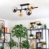Gastor Plafondlamp, Kogellampje Amber, Duidelijk, Rookkleurig, 5-lichts