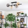 Gastor Plafondlamp, Kogellampje Amber, Duidelijk, Rookkleurig, 5-lichts