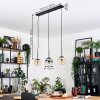 Gastor Hanglamp, Kogellampje, Hanglamp Amber, Duidelijk, Rookkleurig, 3-lichts