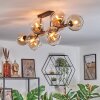 Koyoto Plafondlamp, Kogellampje Amber, Duidelijk, 10-lichts