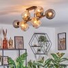 Ripoll Plafondlamp, Kogellampje Amber, Duidelijk, Rookkleurig, 10-lichts