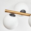 Gastor Plafondlamp, Kogellampje Goud, Zwart, 8-lichts
