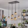 Koyoto Hanglamp, Kogellampje, Hanglamp Amber, Duidelijk, 6-lichts