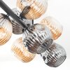 Ripoll Plafondlamp, Kogellampje Amber, Rookkleurig, 10-lichts