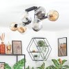 Ripoll Plafondlamp, Kogellampje Amber, Duidelijk, Rookkleurig, 10-lichts