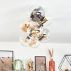 Gastor Plafondlamp, Kogellampje Goud, Zwart, 8-lichts