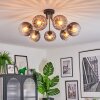 Koyoto Plafondlamp, Kogellampje 82 cm Duidelijk, Rookkleurig, 7-lichts