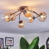 Chehalis Plafondlamp, Kogellampje 58 cm Amber, Duidelijk, 6-lichts