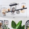 Chehalis Plafondlamp, Kogellampje Amber, Duidelijk, Rookkleurig, 8-lichts
