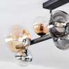 Chehalis Plafondlamp, Kogellampje Amber, Duidelijk, Rookkleurig, 8-lichts