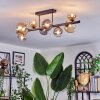 Chehalis Plafondlamp, Kogellampje Amber, Duidelijk, Rookkleurig, 8-lichts