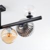 Chehalis Plafondlamp, Kogellampje Amber, Duidelijk, Rookkleurig, 8-lichts