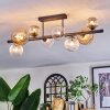Chehalis Plafondlamp, Kogellampje Amber, Duidelijk, Rookkleurig, 8-lichts