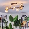 Chehalis Plafondlamp, Kogellampje Amber, Duidelijk, Rookkleurig, 8-lichts