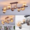 Chehalis Plafondlamp, Kogellampje Amber, Rookkleurig, 8-lichts