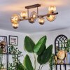 Chehalis Plafondlamp, Kogellampje Amber, Rookkleurig, 8-lichts