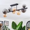Chehalis Plafondlamp, Kogellampje Amber, Rookkleurig, 8-lichts