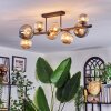 Chehalis Plafondlamp, Kogellampje Amber, Rookkleurig, 8-lichts