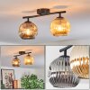 Ripoll Plafondlamp, Kogellampje Amber, Rookkleurig, 2-lichts