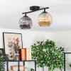 Ripoll Plafondlamp, Kogellampje Amber, Rookkleurig, 2-lichts