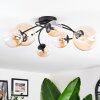 Chehalis Plafondlamp, Kogellampje Amber, Duidelijk, 6-lichts