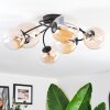 Chehalis Plafondlamp, Kogellampje Amber, Duidelijk, 6-lichts