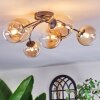 Chehalis Plafondlamp, Kogellampje Amber, Duidelijk, 6-lichts