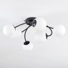Chehalis Plafondlamp, Kogellampje Wit, 6-lichts