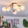Chehalis Plafondlamp, Kogellampje Wit, 6-lichts