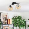 Ripoll Plafondlamp, Kogellampje Amber, Duidelijk, 2-lichts