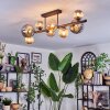 Chehalis Plafondlamp, Kogellampje Amber, Rookkleurig, 8-lichts