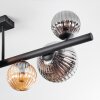 Chehalis Plafondlamp, Kogellampje Amber, Rookkleurig, 8-lichts