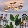 Chehalis Plafondlamp, Kogellampje Amber, Rookkleurig, 8-lichts
