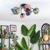 Chehalis Plafondlamp, Kogellampje Blauw, Groen, Duidelijk, Koperkleurig, 6-lichts