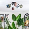 Chehalis Plafondlamp, Kogellampje Blauw, Groen, Duidelijk, Koperkleurig, 6-lichts